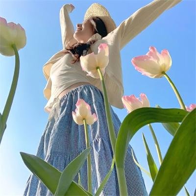 夏日恋习曲