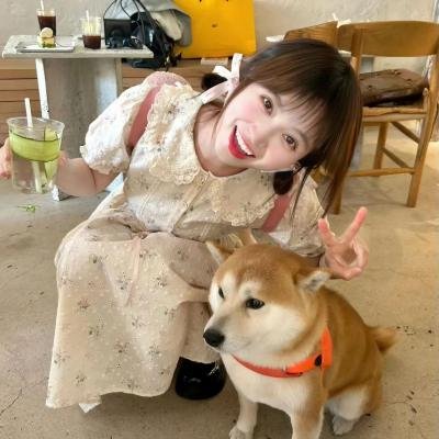 蜘蛛与郁金香